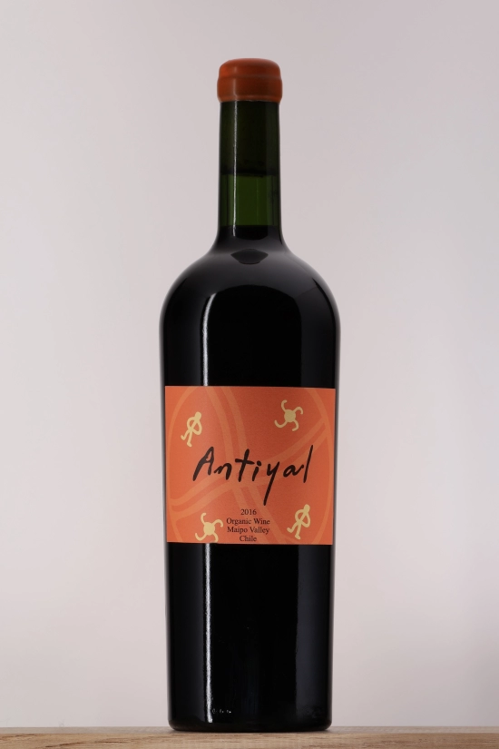 Maipo Antiyal 2016 Domaine Antiyal