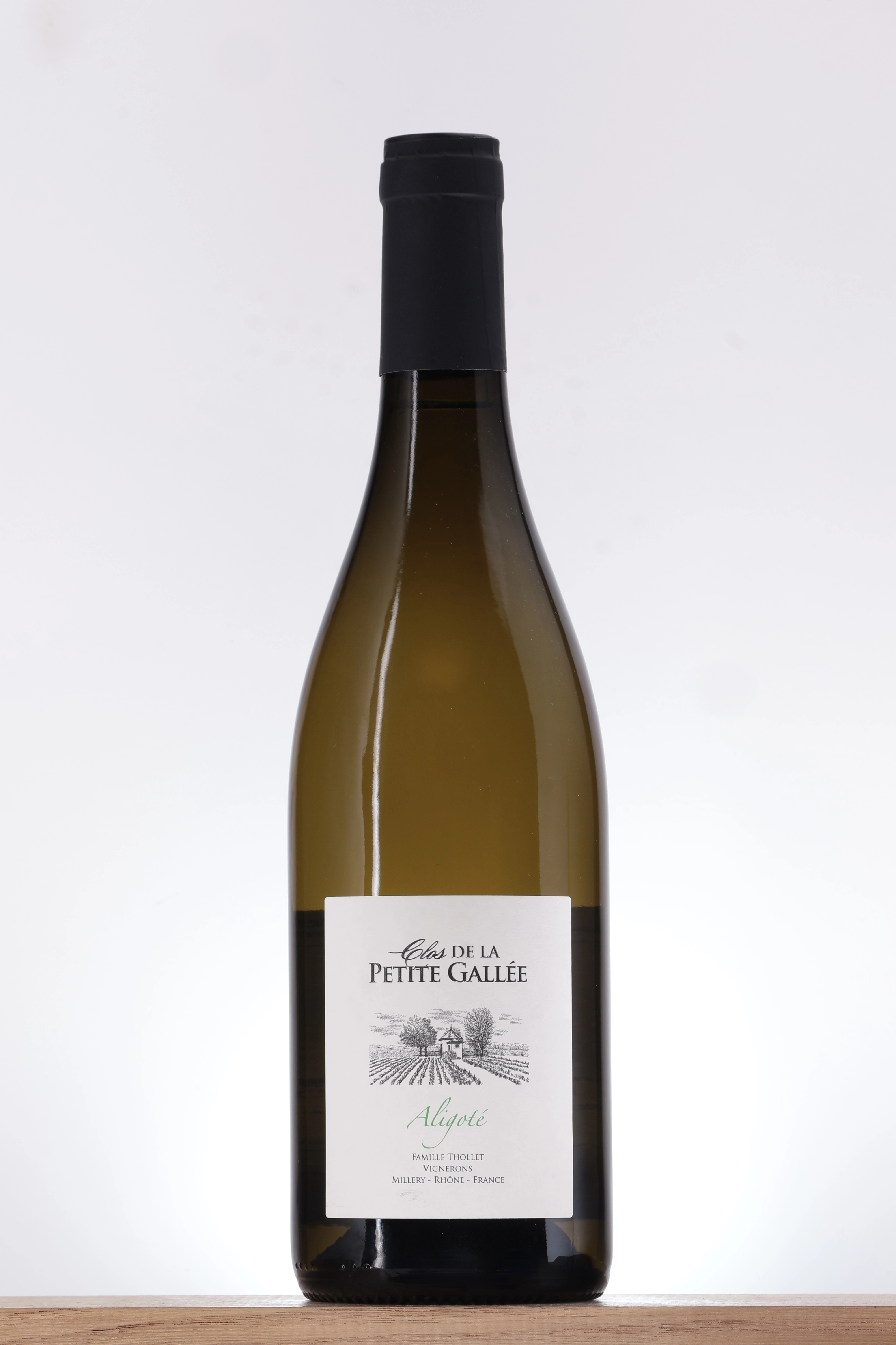 Aligoté 2023 Clos de la Petite Gallée Aligoté 2023 Clos de la Petite Gallée
