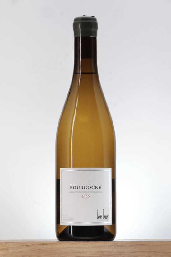 Bourgogne blanc 2022 Domaine Lamy-Caillat