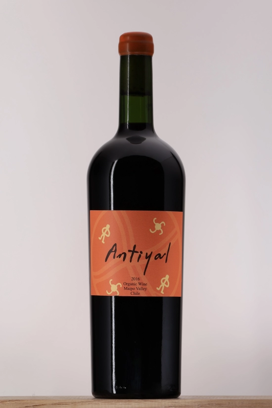 Maipo Antiyal 2016 Domaine Antiyal
