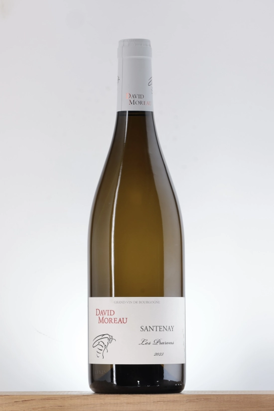 Santenay Blanc Les Prarons 2023 Domaine David Moreau