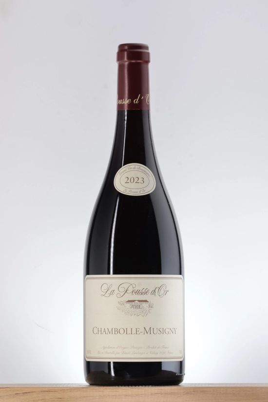 Chambolle Musigny 2023 Domaine de la Pousse d'Or