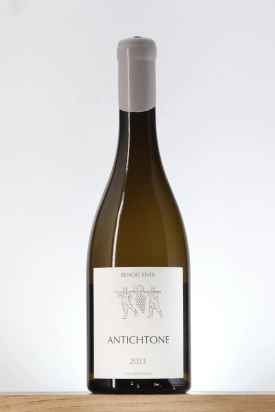 Bourgogne Aligoté Antichtone 2023 Domaine Benoit Ente