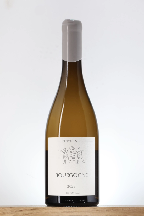 Bourgogne Chardonnay 2023 Domaine Benoit Ente 