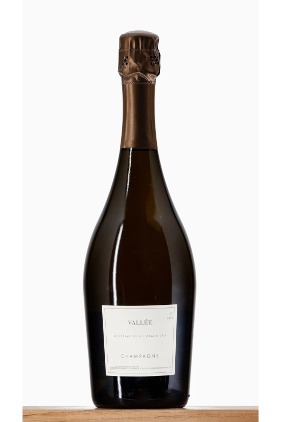 Champagne Vallée Grand Cru Aÿ 2014 Domaine Les Monts Fournois