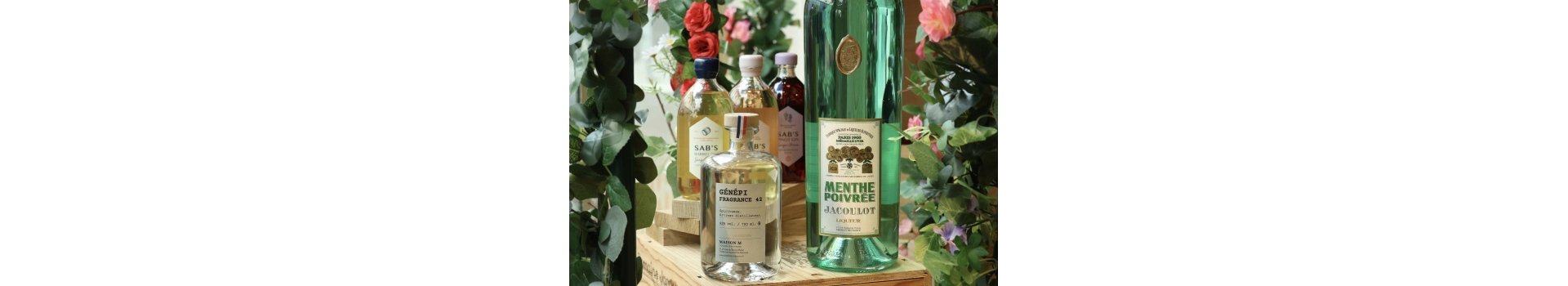 EAUX DE VIE DE FRUITS ET PLANTES