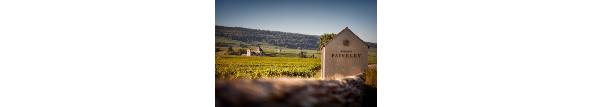 FAIVELEY