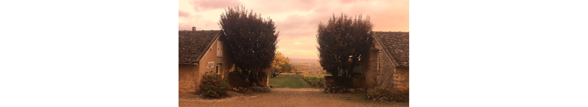 FOLIE (Domaine de la)