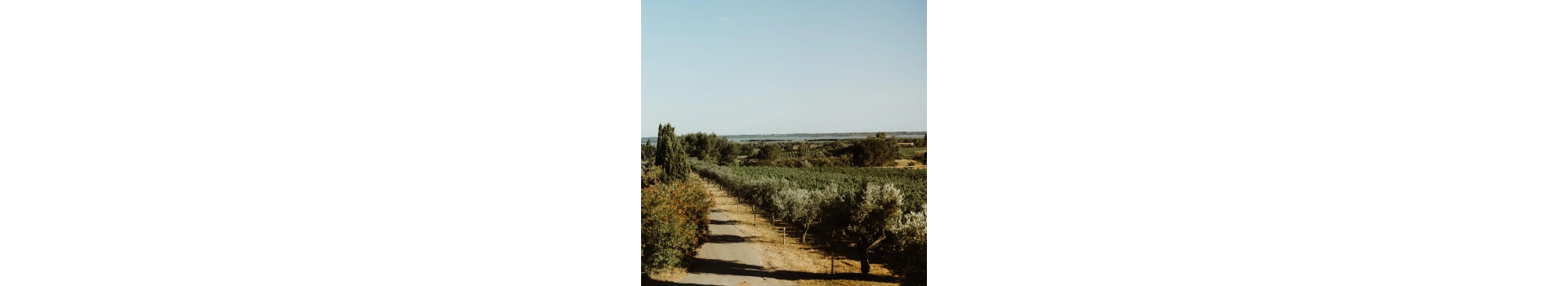 CENTENAIRES (Clos des)